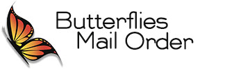Butterflies Mail Order Butteflies_MailOrder